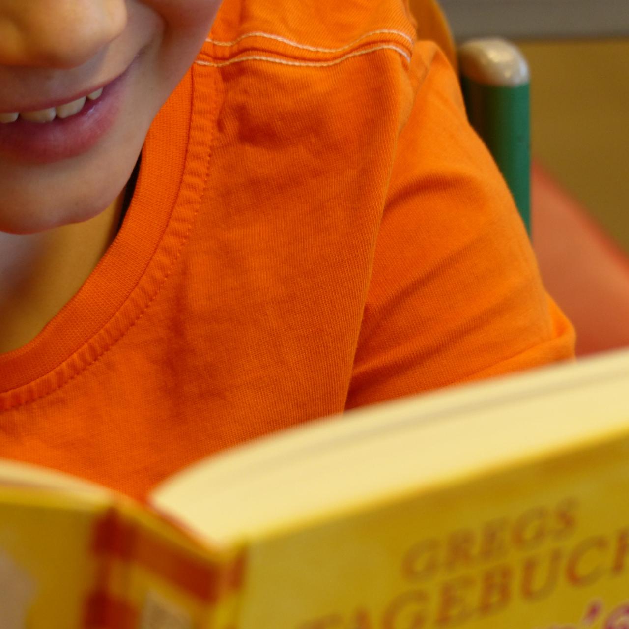 Lesender Schüler